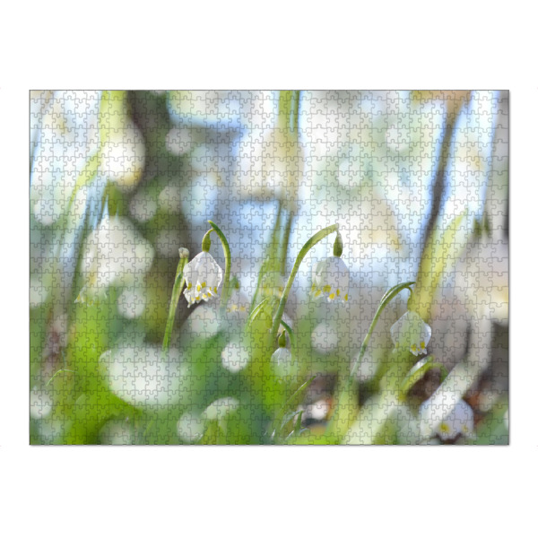 Puzzle Ravensburger "Märzenbecher" artboxONE - Natur,Floral - Frühling,Märzenbecher - Bild frühling