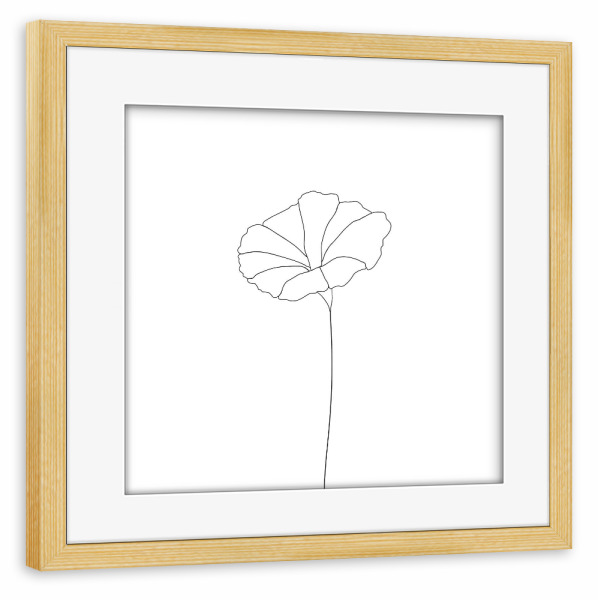 Poster mit Rahmen kiefer "Mohnblume weiß" artboxONE - Floral,Schwarzweiß