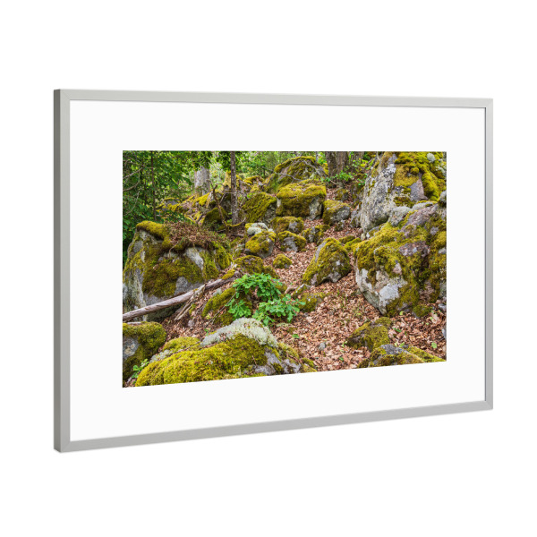 Poster mit Rahmen Silber "Wald, Felsen, Moos" artboxONE - Natur,Reise,Reise / Länder