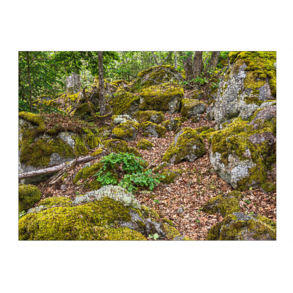 Puzzle Ravensburger "Wald, Felsen, Moos" artboxONE - Natur,Reise,Reise / Länder
