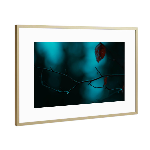 Poster mit Rahmen Gold "Regentropfen am Ast" artboxONE - Natur