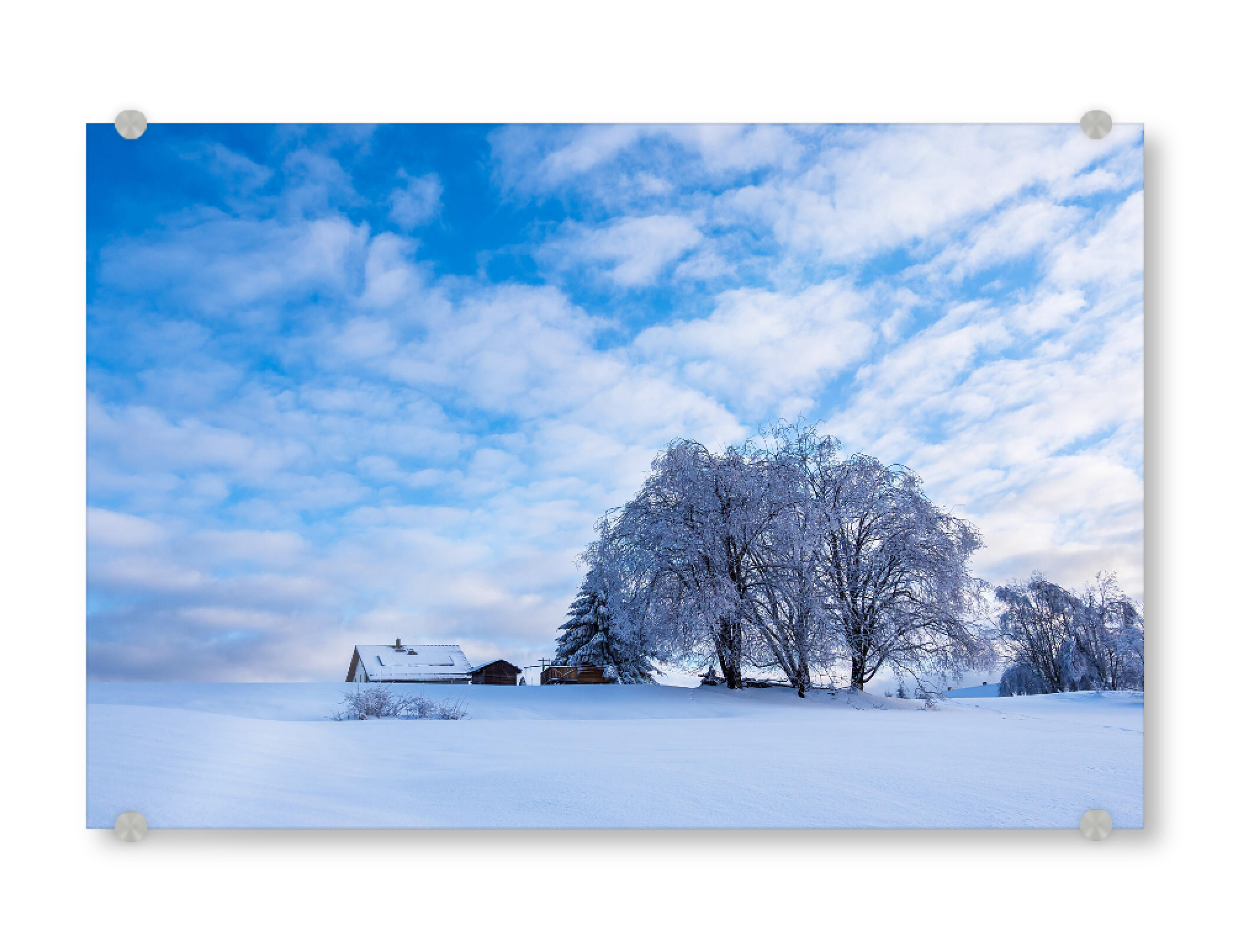 Acrylglasbild "Schnee, Bäume und Haus" artboxONE - Natur,Reise,Architektur