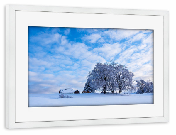 Poster mit Rahmen weiß "Schnee, Bäume und Haus" artboxONE - Natur,Reise,Architektur