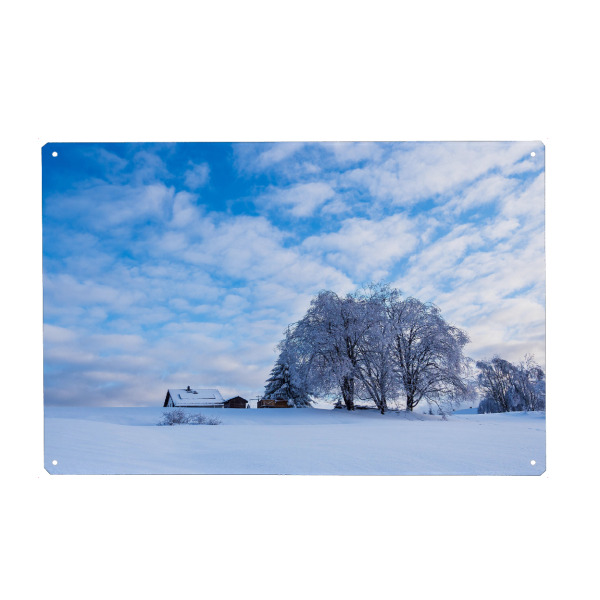 Metall Poster "Schnee, Bäume und Haus" artboxONE - Natur,Reise,Architektur