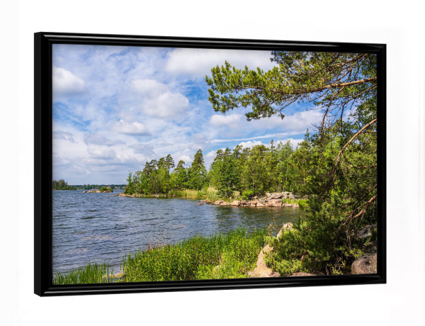 Poster mit schwarzem Rahmen "Schilf, Baum, Ostsee, Wolken" artboxONE - Natur,Reise,Reise / Strand und Meer,Reise / Länder