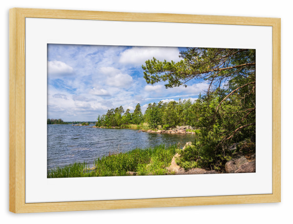 Poster mit Rahmen kiefer "Schilf, Baum, Ostsee, Wolken" artboxONE - Natur,Reise,Reise / Strand und Meer,Reise / Länder