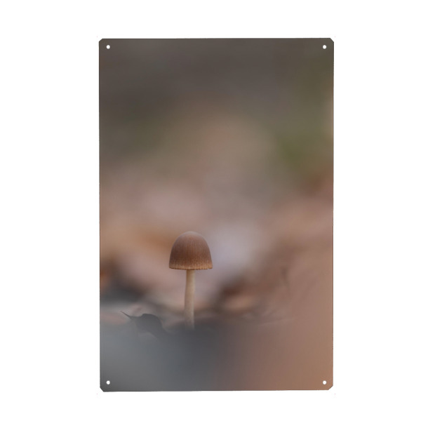 Holzbild "Waldpilz" artboxONE - Natur - Pilz,Pilzchen,Waldboden,Herbstlich,Herbstfarben,Wald,Bokeh,Nahaufnahme,Klein,Makrofotografie,Naturfoto