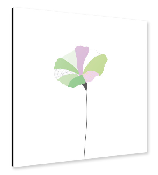 Alu-Dibond "Mohnblume bunt/grün" 30x30 cm artboxONE