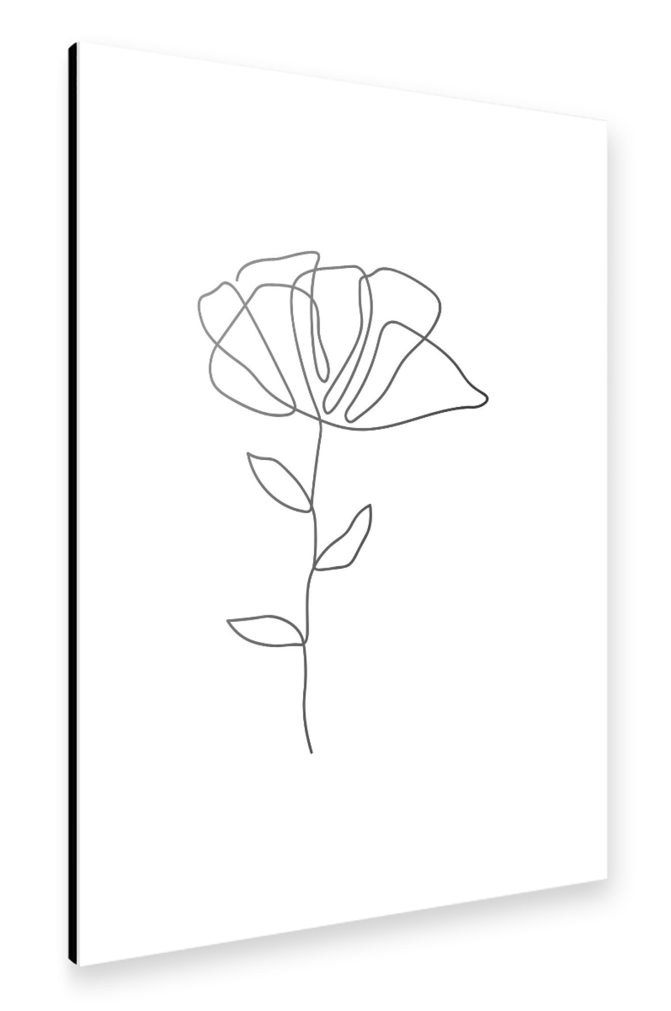 Alu-Dibond "Einzeiliges Blumenpflanzendesign" 30x20 cm artboxONE