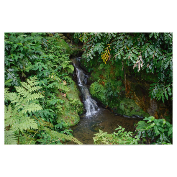 Poster "Wasserfall auf Sao Miguel" artboxONE - Natur,Reise,Reise / Länder