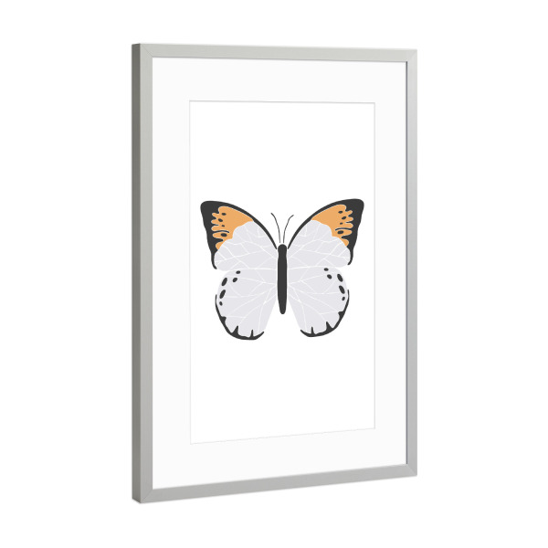 Poster mit Rahmen Silber "Orange butterfly illustration" artboxONE - Tiere - Orange,Tier,Insekt,Schmetterling,Natur,Frühling,Boho,Abstrakt