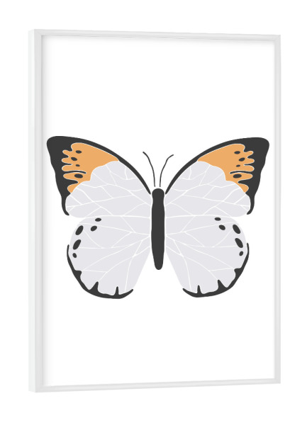 Poster mit weißem Rahmen "Orange butterfly illustration" artboxONE - Tiere - Orange,Tier,Insekt,Schmetterling,Natur,Frühling,Boho,Abstrakt