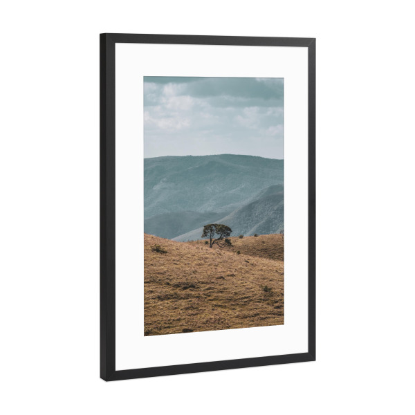 Poster mit Rahmen Schwarz (Metallic) "Lonely Landscape" artboxONE - Natur - Botanisch,Natur,Fotografie,Baum,Berg,Feld,Landschaft