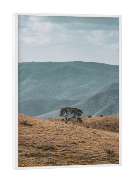 Poster mit weißem Rahmen "Lonely Landscape" artboxONE - Natur - Botanisch,Natur,Fotografie,Baum,Berg,Feld,Landschaft