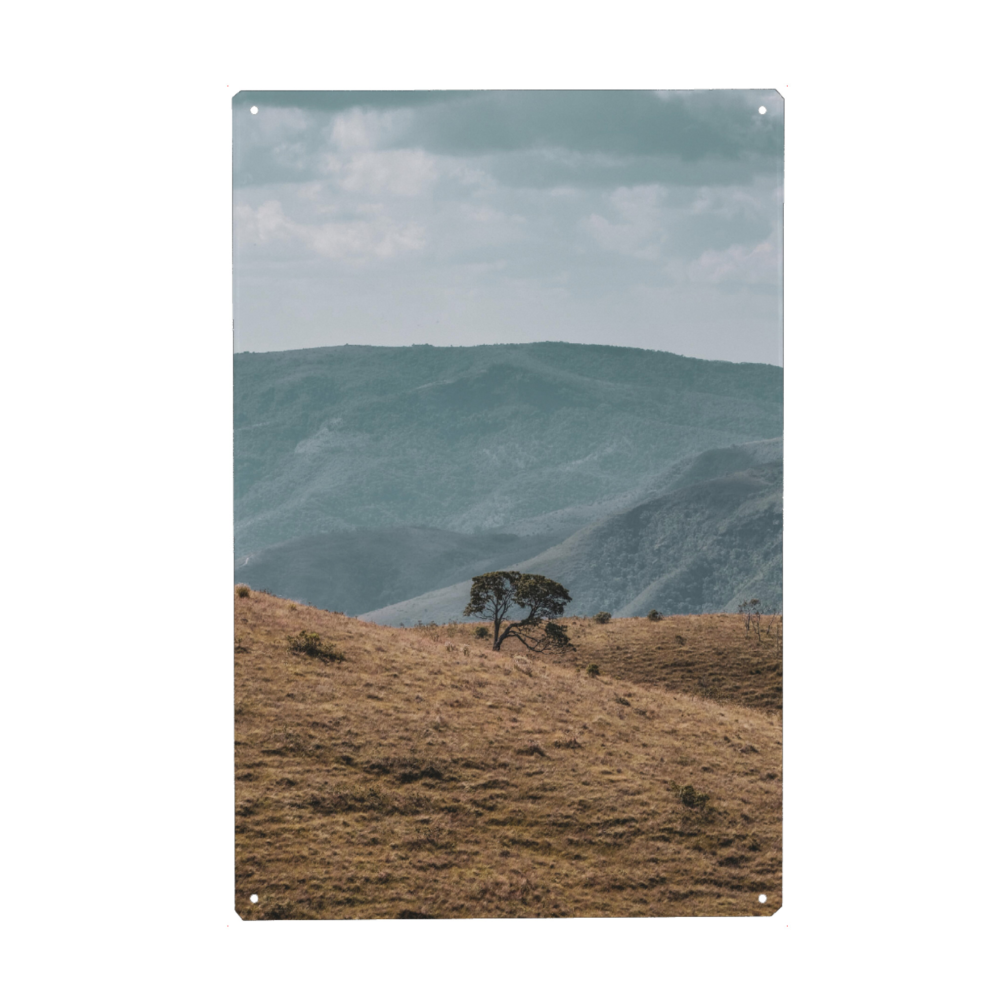 Metall Poster "Lonely Landscape" artboxONE - Natur - Botanisch,Natur,Fotografie,Baum,Berg,Feld,Landschaft - Blechschild