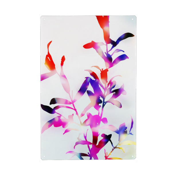 Metall Poster "Blüte Viola" artboxONE - Natur,Floral - Blume,Sommer,Sonnenlicht,Sonne,Sonnig,Stillleben,Natur,Glühen,Strahlen - Blechschild