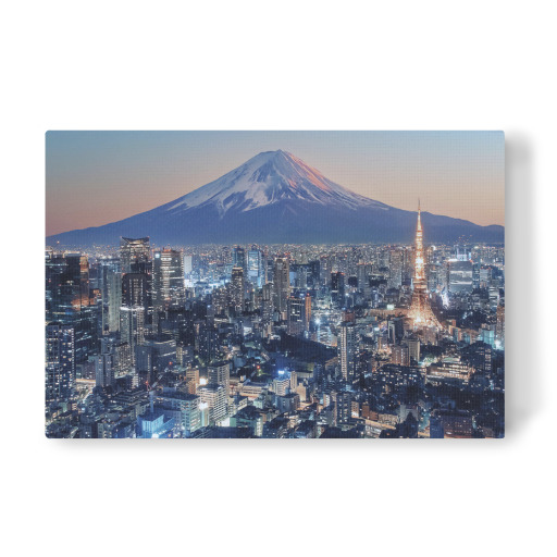 Fuji aus Tokio