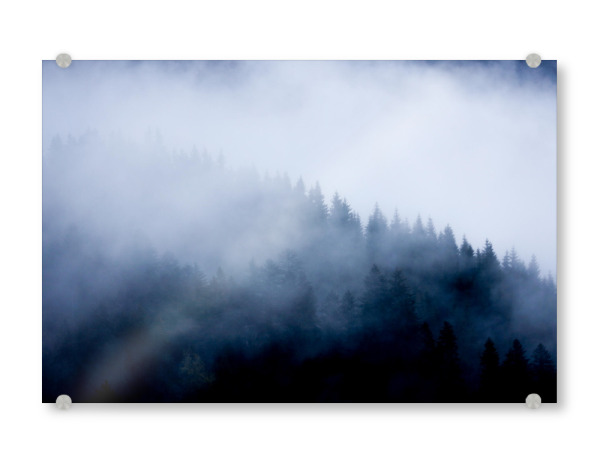 Acrylglasbild "Mystic Wood" artboxONE - Natur,Reise - Wald,Wood,Fog,Nebel,Mystic,Mystisch,Bäume,Trees,Landschaft
