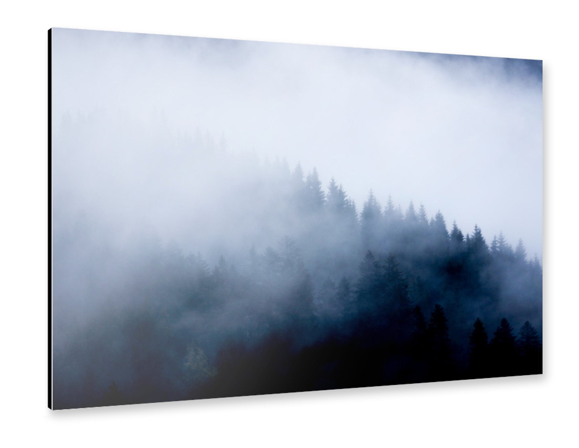 Alu-Dibond "Mystic Wood" 30x20 cm artboxONE