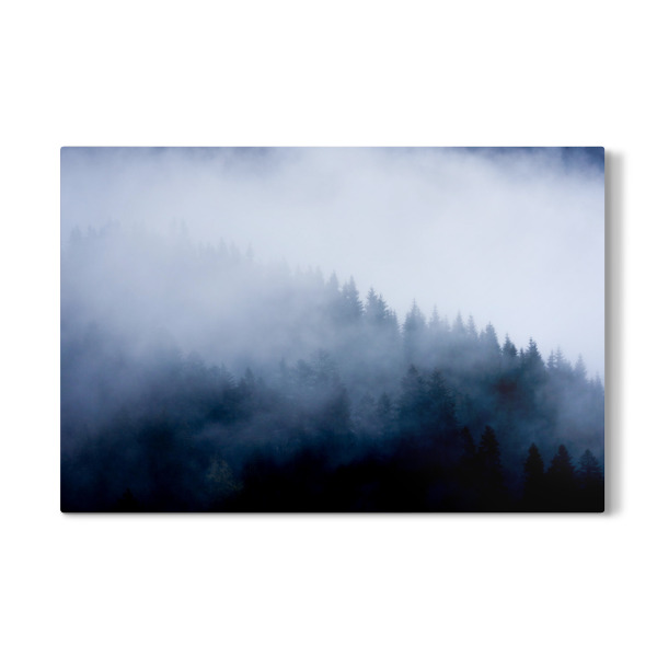 Galerie-Print "Mystic Wood" 30x20 cm artboxONE
