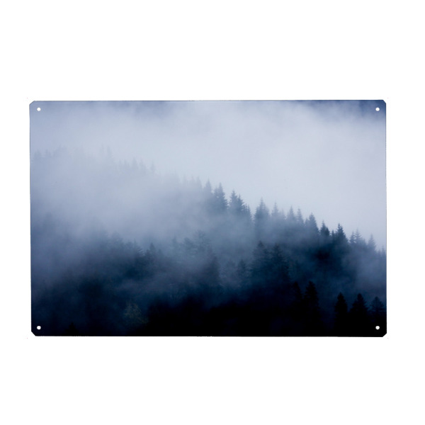 Metall Poster "Mystic Wood" artboxONE - Natur,Reise - Wald,Wood,Fog,Nebel,Mystic,Mystisch,Bäume,Trees,Landschaft - Blechschild