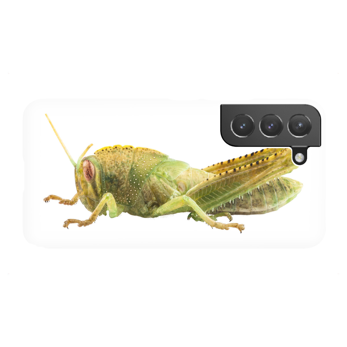 Samsung Galaxy "Ägyptische Heuschrecke" Premium-Case Handyhülle artboxONE