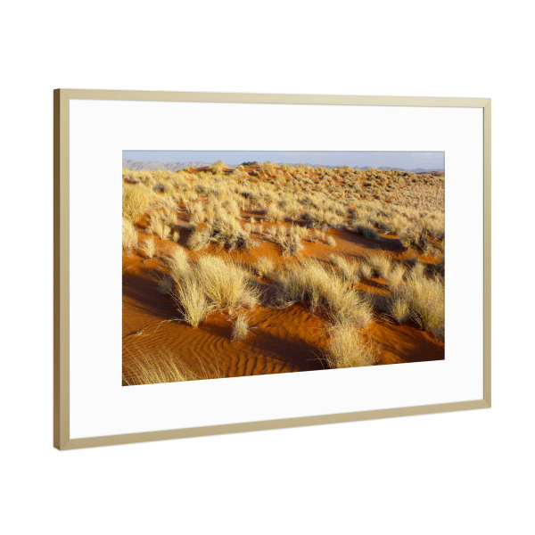 Poster mit Rahmen Gold "Namibische Wüstenlandschaft" artboxONE - Natur,Reise,Reise / Afrika,Reise / Länder