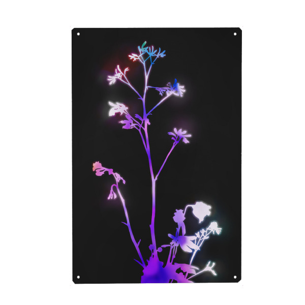 Metall Poster "Blüte lila" artboxONE - Natur,Floral - Blume,Neon,Lila,Blütenblatt,Stillleben,Natur,Floral,Abstrakt - Blechschild