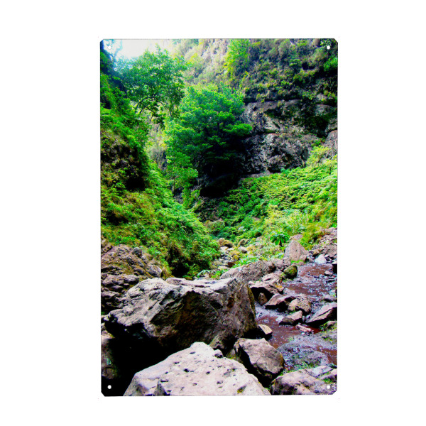 Holzbild "Caldeirao Verde, Madeira" artboxONE - Natur,Reise,Reise / Länder