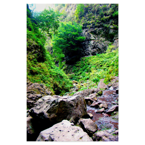 Poster "Caldeirao Verde, Madeira" artboxONE - Natur,Reise,Reise / Länder