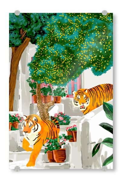 Acrylglasbild "Tiger in Griechenland | Santorin" artboxONE - Tiere,Architektur