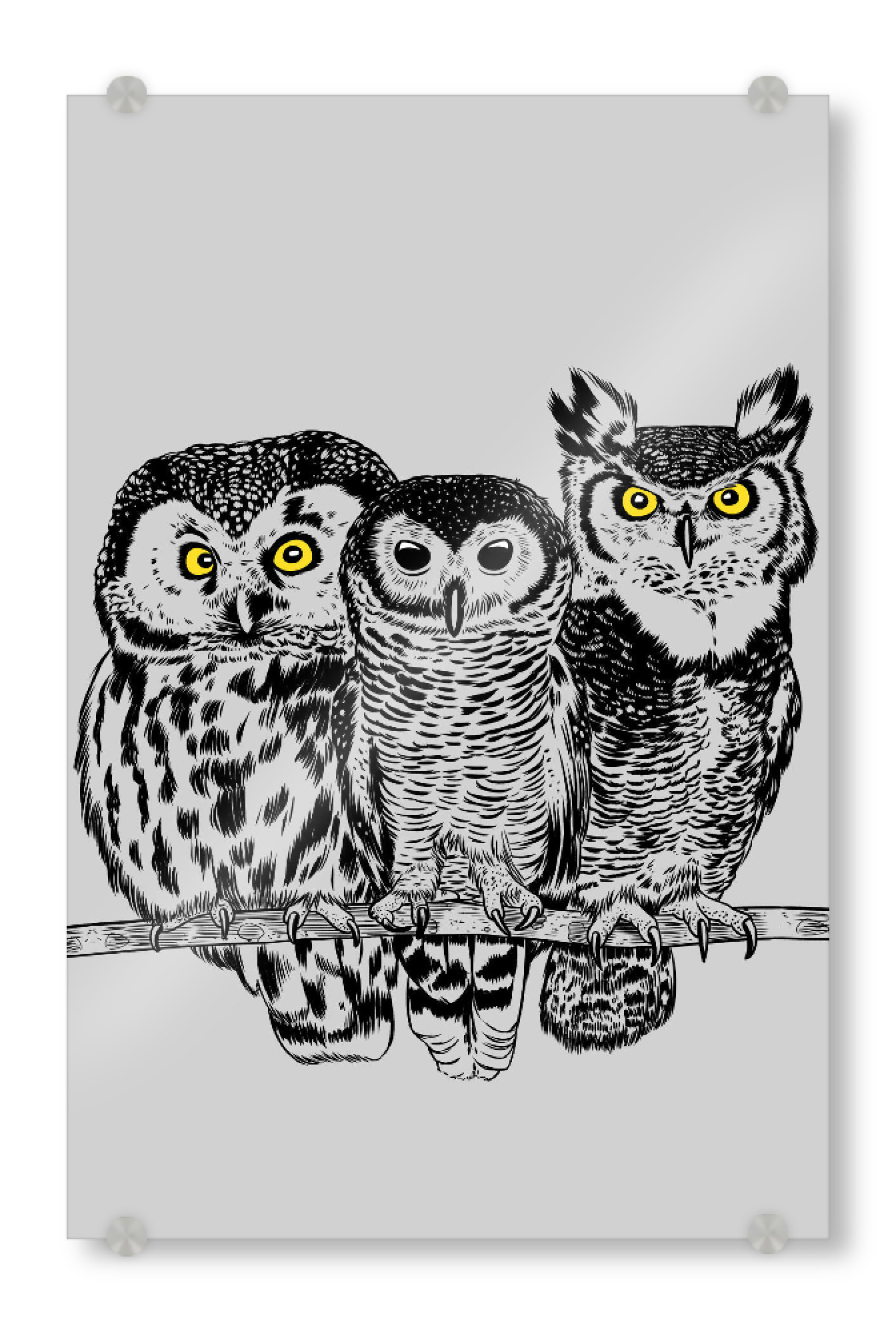 Acrylglasbild "Drei Eulen" artboxONE - Tiere - Natur,Klimawandel,äste,Feld,Wald,Wildes tier,Raubtier,Eulen,Eule,Vogel,Skizze