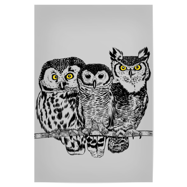 Poster 30x20 cm "Drei Eulen" artboxONE - Tiere - Natur,Klimawandel,äste,Feld,Wald,Wildes tier,Raubtier,Eulen,Eule,Vogel,Skizze