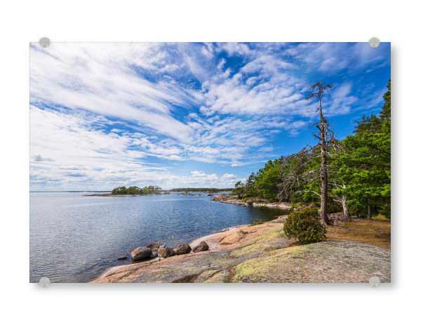 Acrylglasbild "Felsen, Bäume, Ostsee" artboxONE - Natur,Reise,Reise / Strand und Meer,Reise / Länder