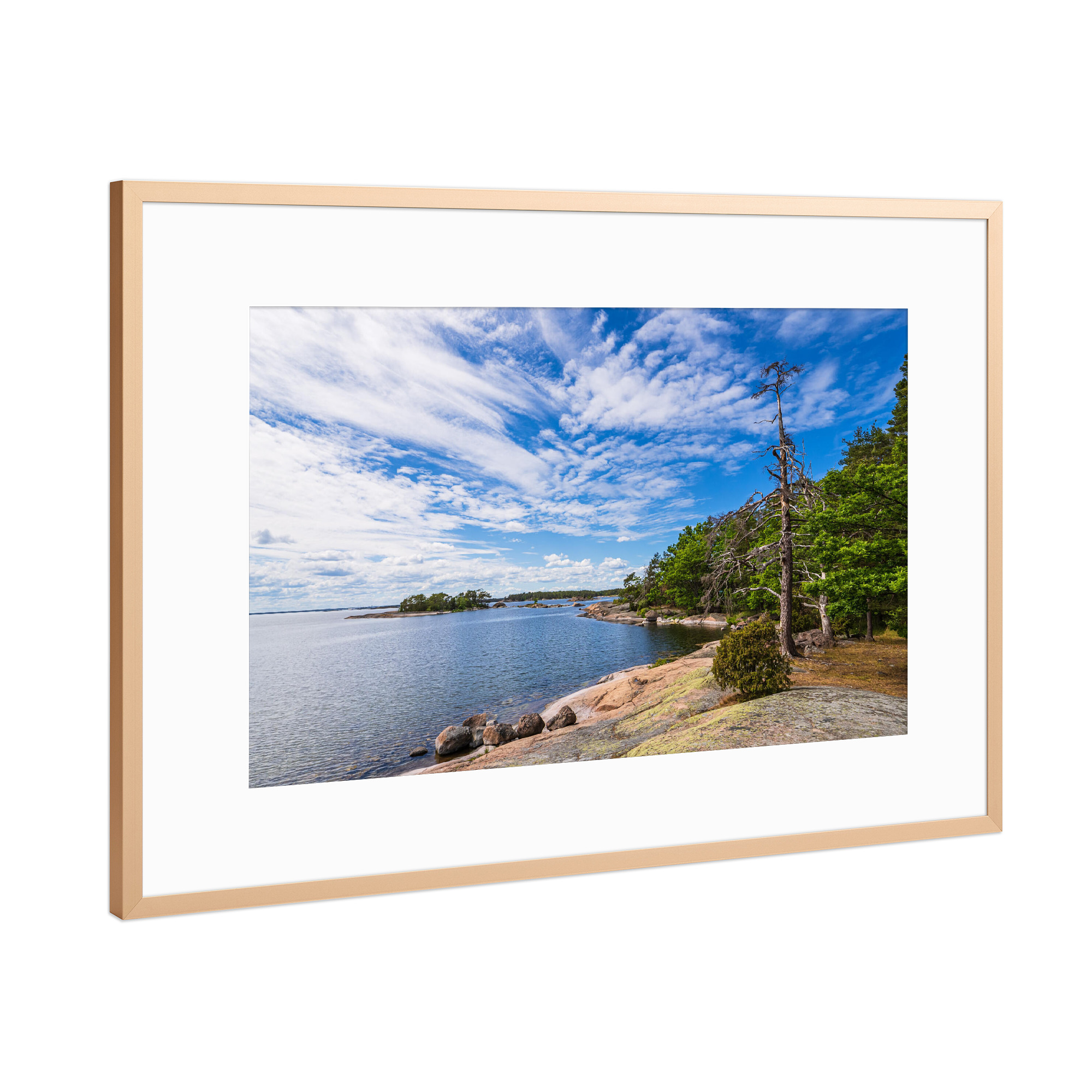 Poster mit Rahmen Kupfer "Felsen, Bäume, Ostsee" artboxONE - Natur,Reise,Reise / Strand und Meer,Reise / Länder