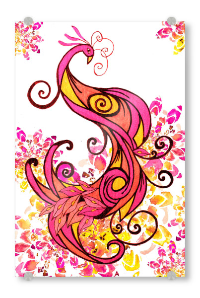 Acrylglasbild "Rosa Pfau mit Mandala Verzierungen" artboxONE - Floral,Tiere - Pfau,Vogel,Tiere,Federn,Abstrakt,Rosa,Mandala,Ornamente,Verzierungen