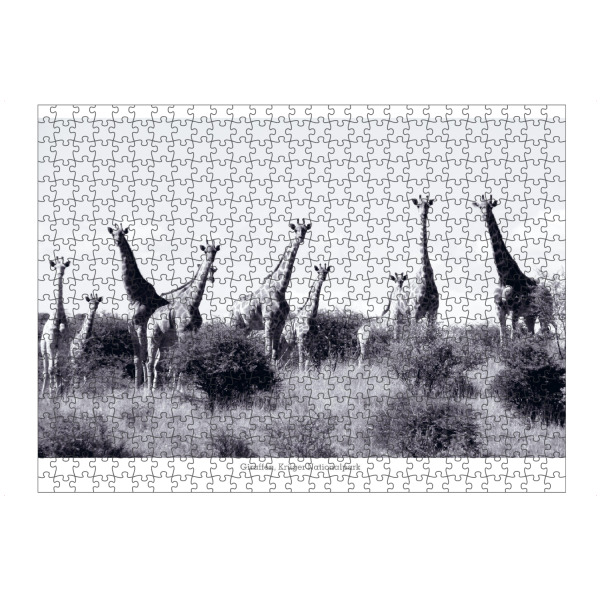 Puzzle Ravensburger "Giraffen im Krügerpark" artboxONE - Natur,Reise,Tiere,Schwarzweiß,Reise / Afrika