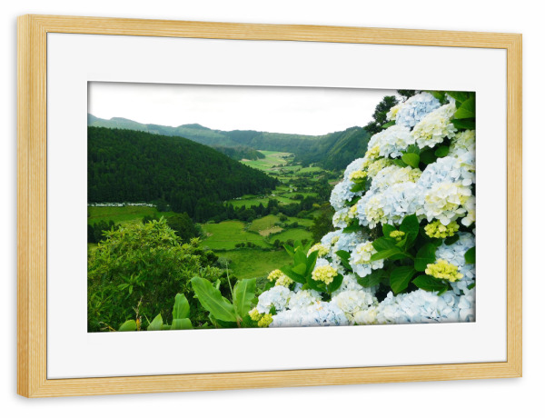 Poster mit Rahmen kiefer "Sao Miguel Landschaft" artboxONE - Natur,Reise,Floral,Reise / Strand und Meer,Reise / Länder