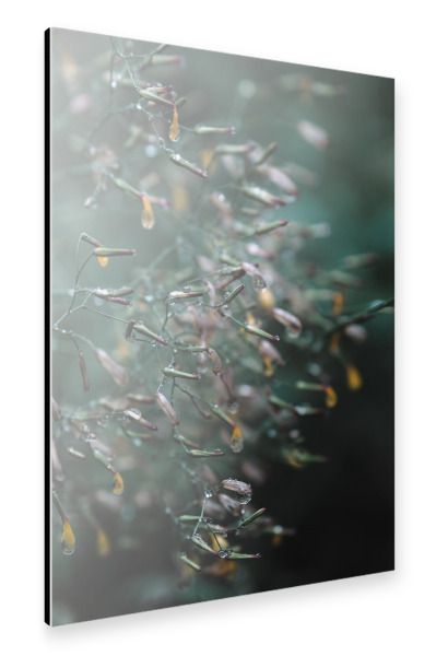 Alu-Dibond "Herbstregen" 30x20 cm artboxONE