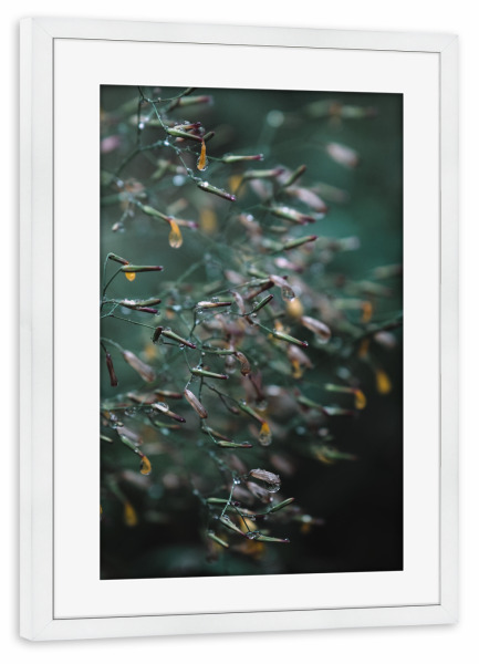 Poster mit Rahmen weiß "Herbstregen" artboxONE - Natur,Reise,Abstrakt - Pflanze,Regen,Flower,Bokeh,Moody,Minimal,Abstrakt,Blume,Herbst,Grün