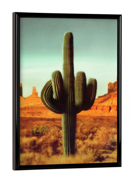 Poster mit schwarzem Rahmen "Stechen" artboxONE - Natur,Lustig