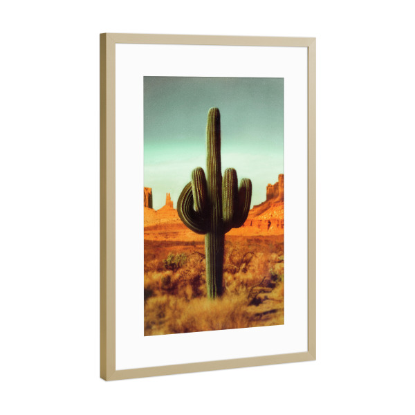 Poster mit Rahmen Gold "Stechen" artboxONE - Natur,Lustig - Kaktus,Pflanzen,Pop-art,Moderne kunst,Zeitgenössische kunst,Natur,Mittelfinger,Wüste,Retro