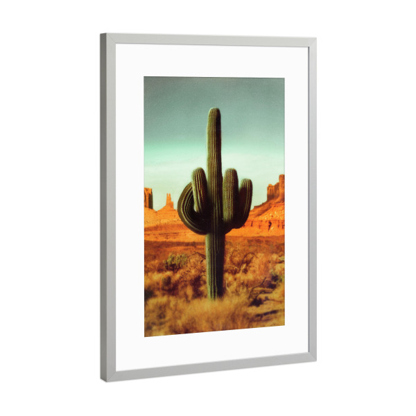 Poster mit Rahmen Silber "Stechen" artboxONE - Natur,Lustig