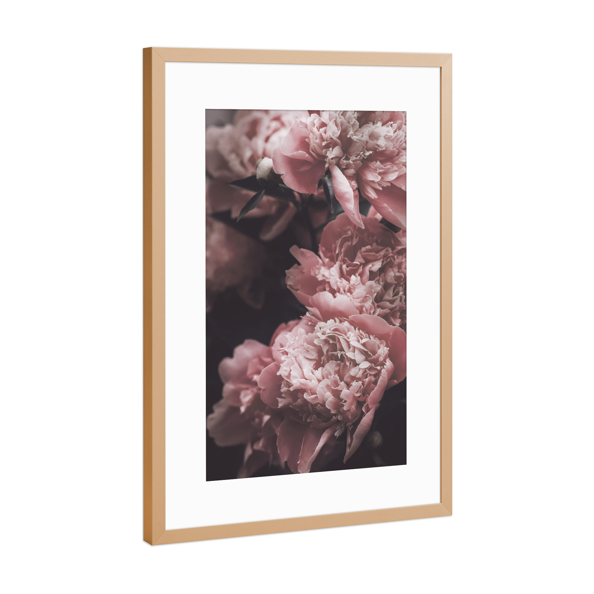 Poster mit Rahmen Kupfer "Vintage rosa Pfingstrosen" artboxONE - Natur,Floral,Liebe,Für Mama - Rosa rose,Pfingstrose,Pfingstrosen,Rosa,Blumen