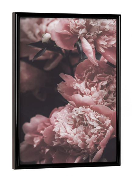 Poster mit schwarzem Rahmen "Vintage rosa Pfingstrosen" artboxONE - Natur,Floral,Liebe,Für Mama - Rosa rose,Pfingstrose,Pfingstrosen,Rosa,Blumen