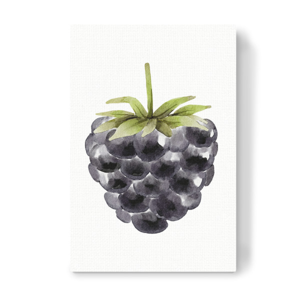 Leinwandbild "Brombeer-Aquarell-Frucht" artboxONE - Essen & Trinken / Obst & Gemüse - Brombeere,Kunst,Obst,Aquarell,Brombeerfrucht,Bedruckbar,Tropisch