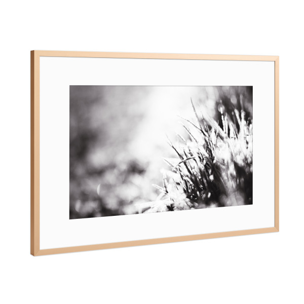 Poster mit Rahmen Kupfer "Frost, Grass And Light" artboxONE - Natur,Floral,Schwarzweiß,Für Mama