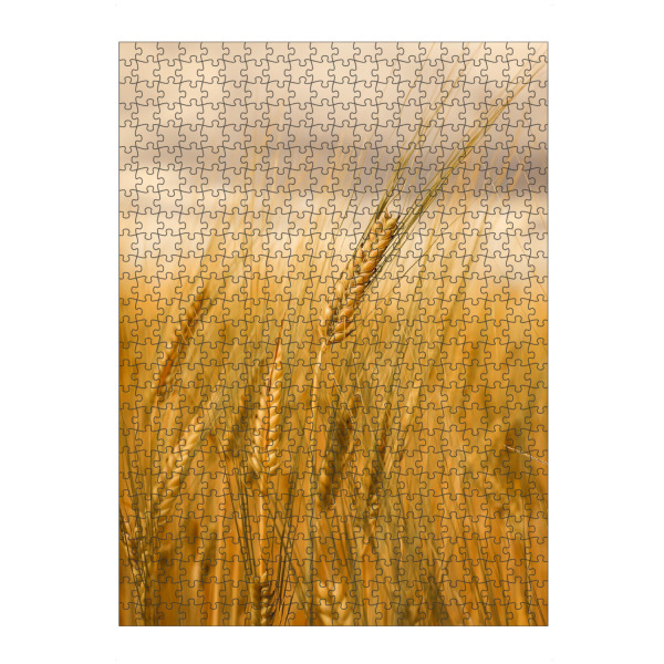 Puzzle Ravensburger "Erntezeit in Lüneburg" artboxONE - Natur,Floral,Essen & Trinken