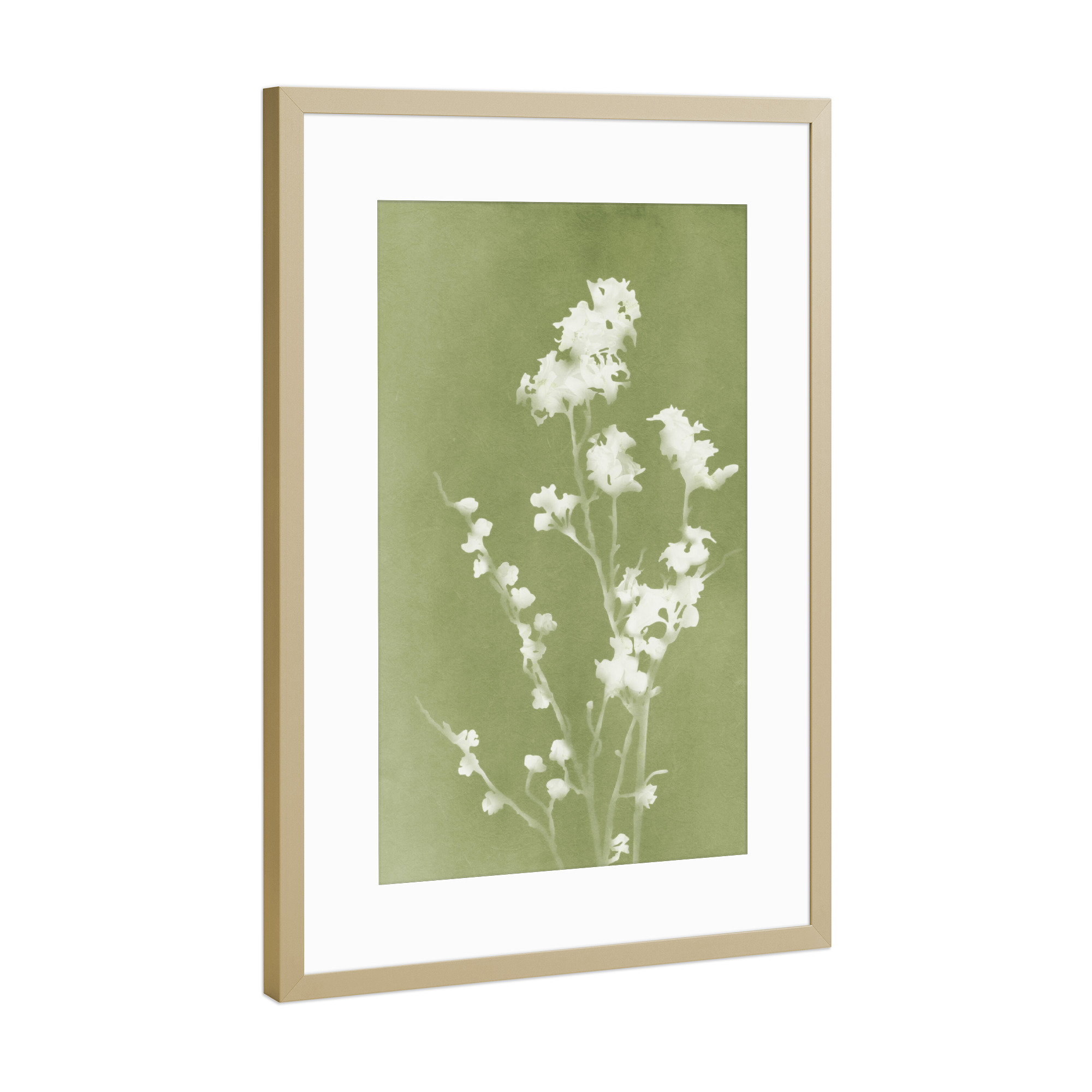 Poster mit Rahmen Gold "Monographie Grün" artboxONE - Natur,Floral - Blume,Silhouette,Stillleben,Natur,Klassiker,Blütenblatt,Blätter,Laub