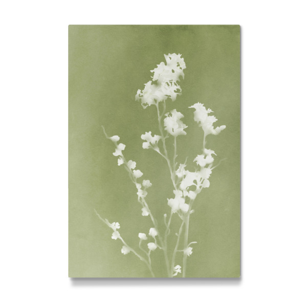 Galerie-Print "Monographie Grün" 30x20 cm artboxONE